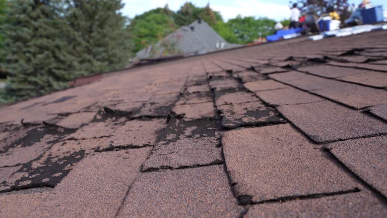 Trusted Menands, NY Roofing Services Experts
